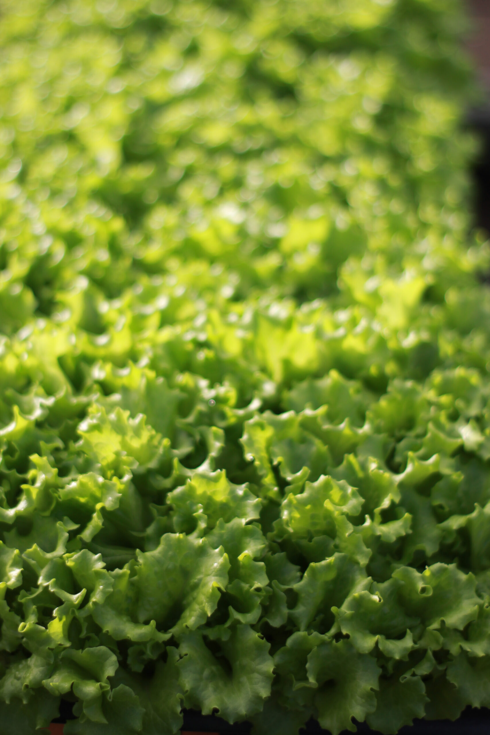 1D959700-2654-45C7-9E4A-7BB1EDA70AA8