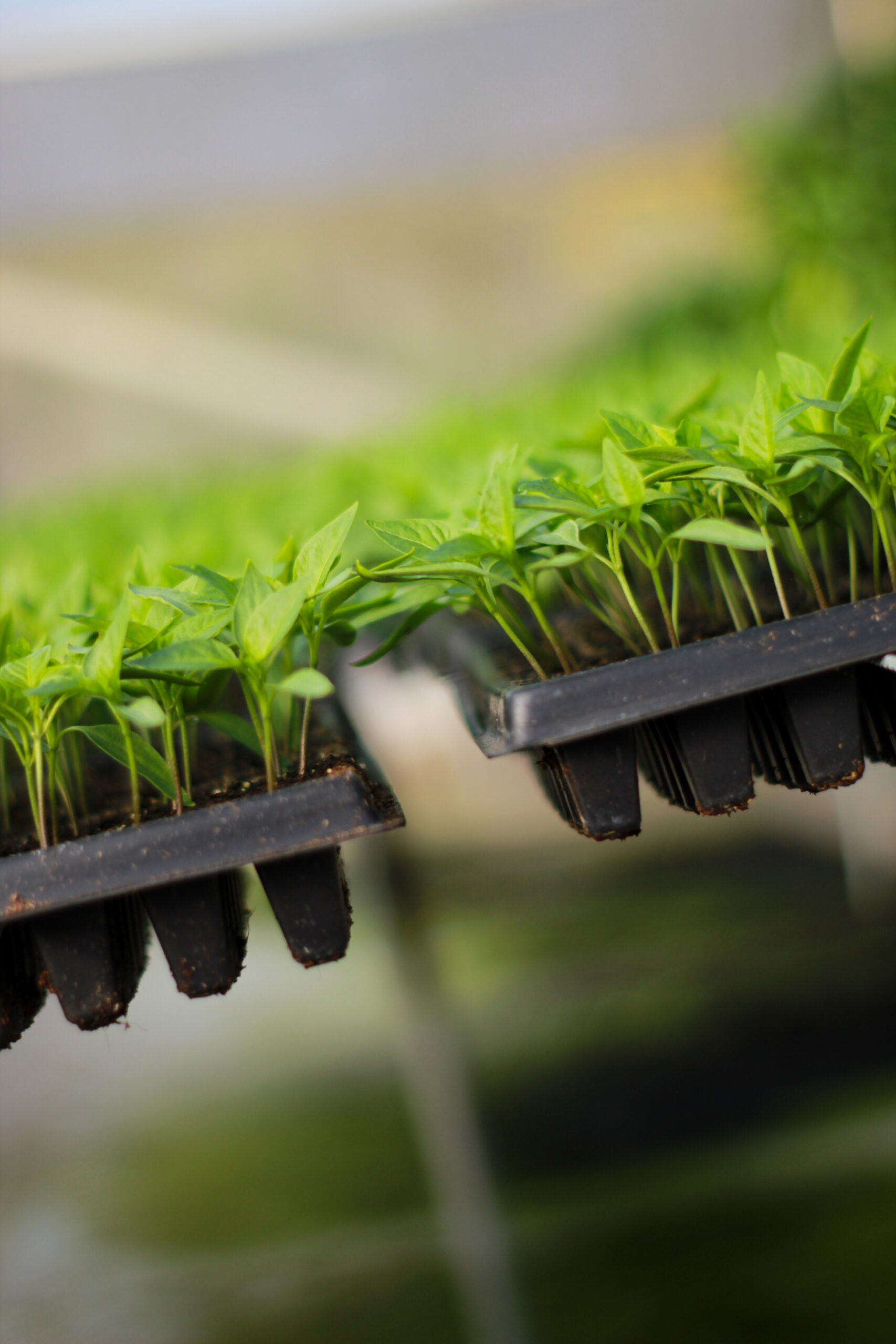 FEE5EB81-33E2-4933-ADE8-4E3D3F8E320F